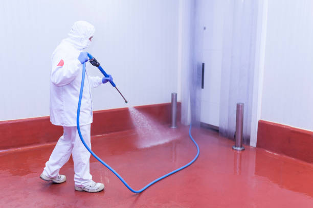 Best House Exterior Washing  in Deer Park, OH